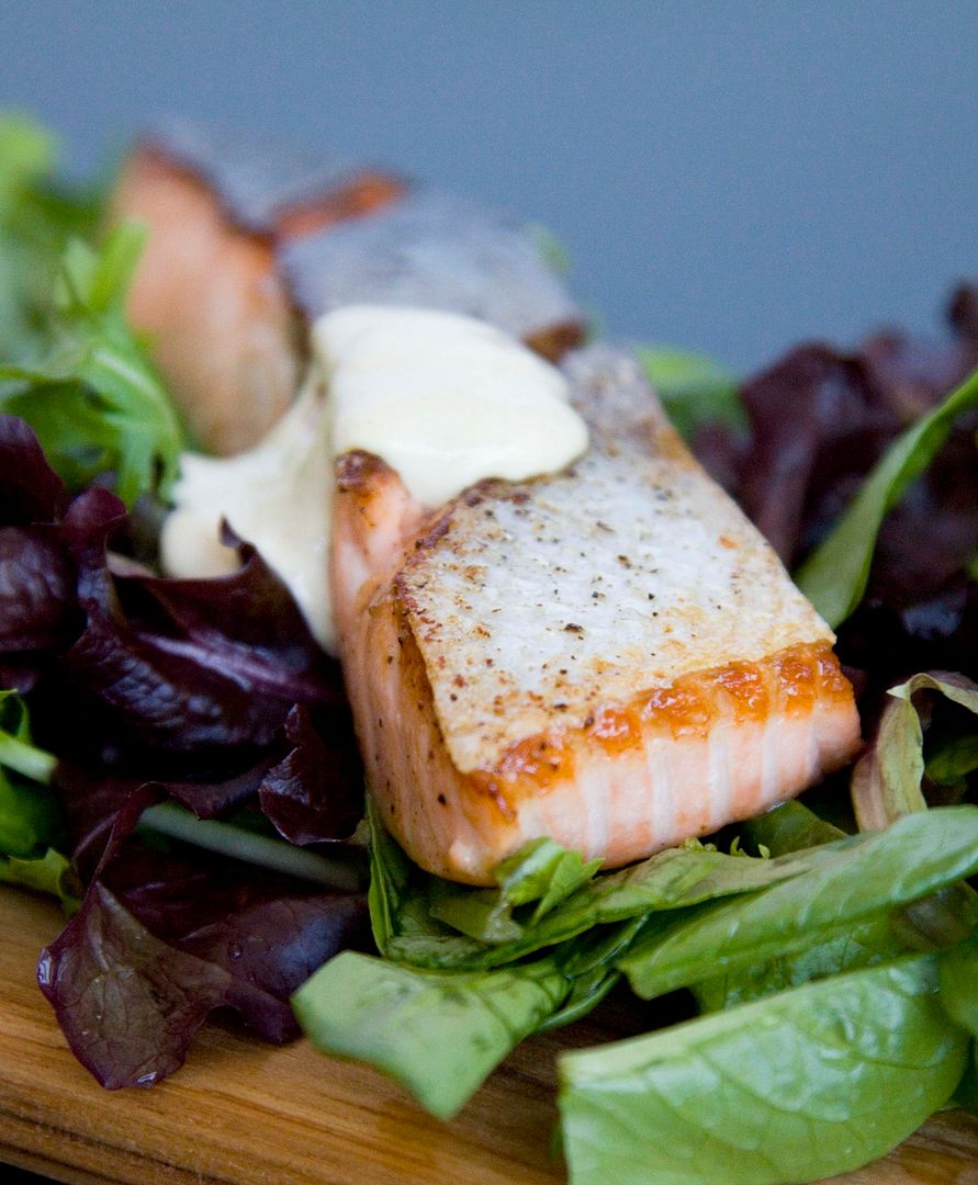 Food Makes Me Happy Seared Salmon Fillet with Mustard Mayo Sauce